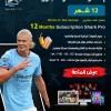 اشتراك شارك برو 12 شهر - جهازين